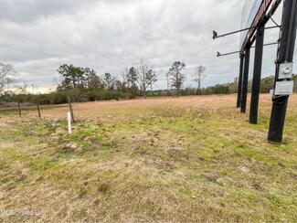 Plus de détails pour 1 AC Highway 98, Lucedale, MS - Terrain à vendre