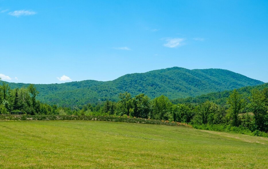 0 Boonesville Rd, Dyke, VA à vendre - Photo principale – Image 1 sur 8