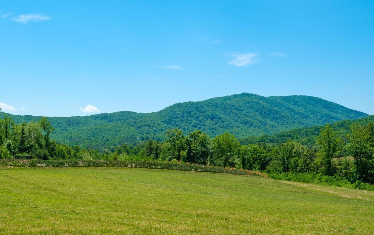 0 Boonesville Rd, Dyke, VA à vendre Photo principale– Image 1 sur 9