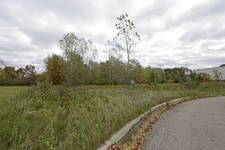 Plus de détails pour 3225 Tri-park Dr, Grand Blanc, MI - Terrain à vendre