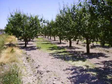 Terrain dans Cehegín, Murcia à vendre Photo de l’immeuble– Image 1 sur 7