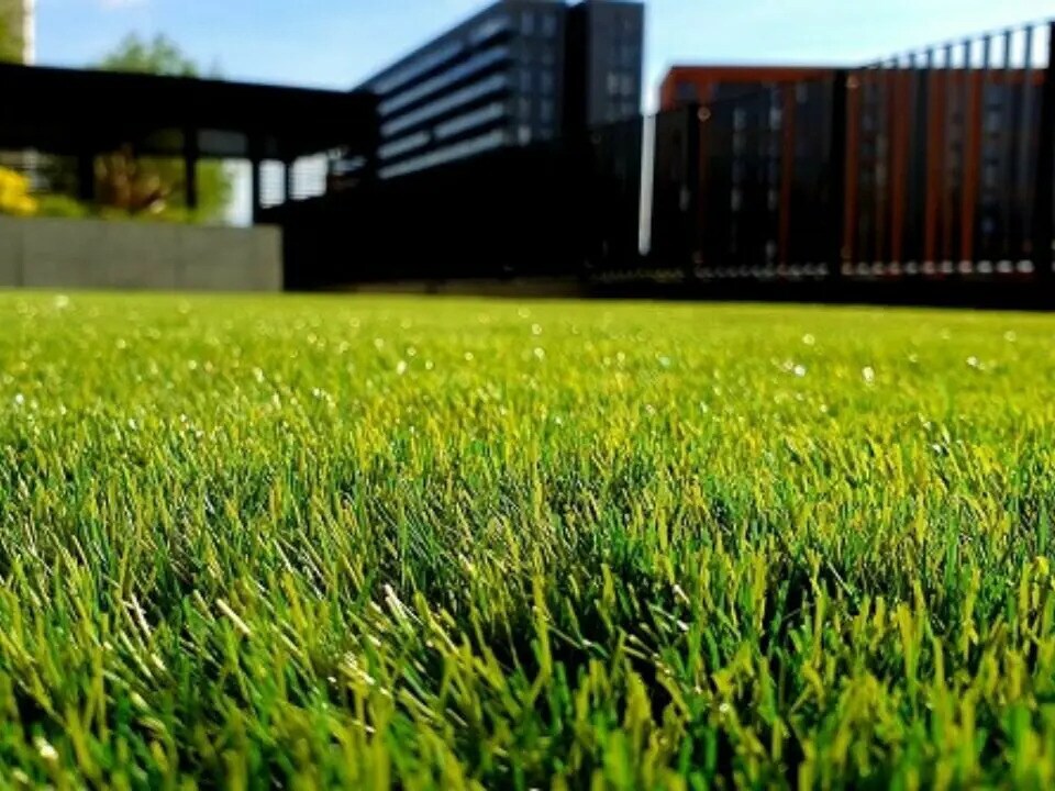 Terrain dans Rambervillers à vendre Photo de l’immeuble– Image 1 sur 2