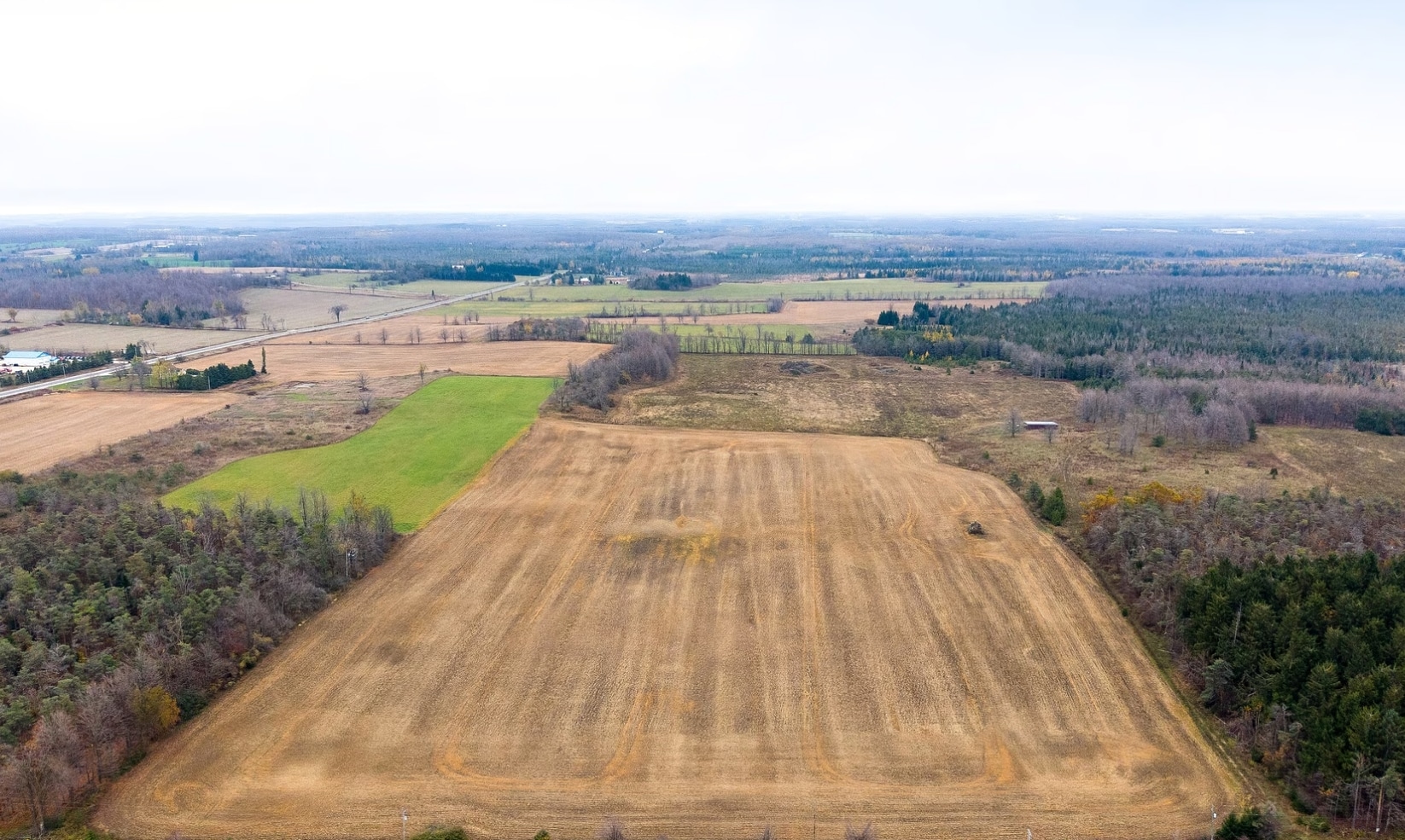 793958 Grey County 124 rd, Badjeros, ON à vendre Photo principale– Image 1 sur 4