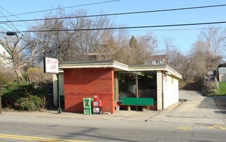 Plus de détails pour 335 Pittsburgh St, Springdale, PA - Bureau/Local commercial à louer