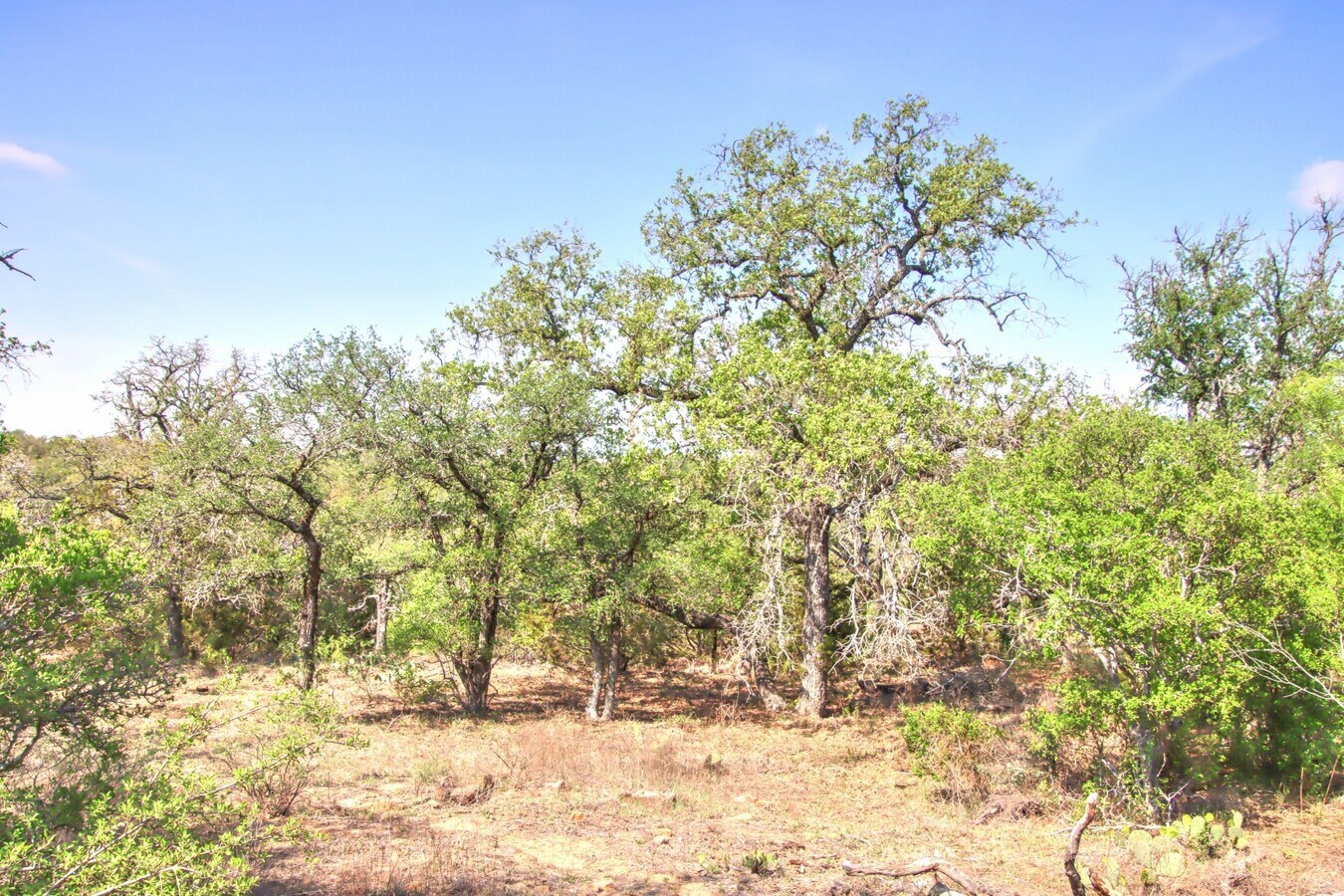 View Photo