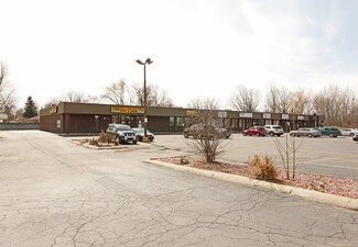 Plus de détails pour 9800-9880 Haggerty Rd, Belleville, MI - Local commercial à louer