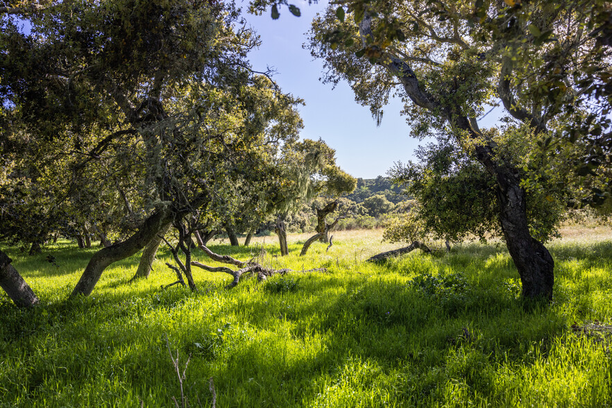 7855 Old Careaga Ranch Rd, Santa Maria, CA à vendre - Autre – Image 3 sur 26