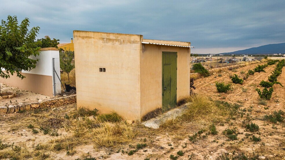 Paratge, 127, PINOSO, Alicante à vendre - Photo principale – Image 1 sur 10
