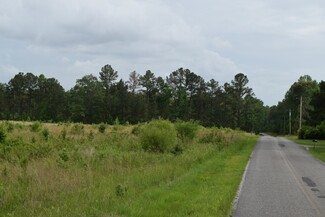 Plus de détails pour 3103 Hickerson Rd, Manchester, TN - Terrain à vendre