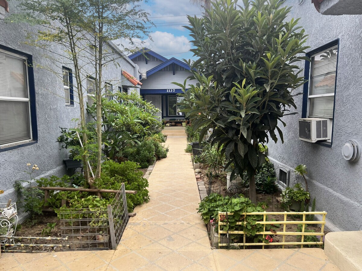 View Photo