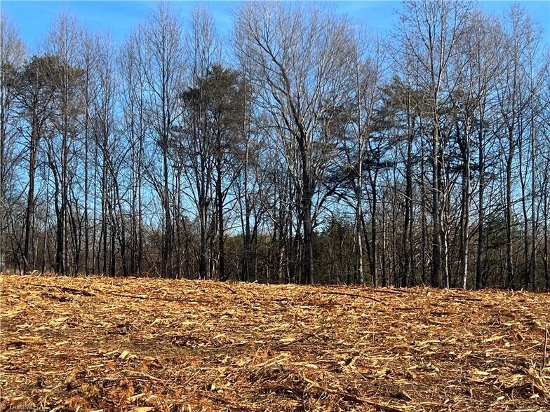 4432 W Pine St, Mount Airy, NC à vendre - Autre – Image 2 sur 4