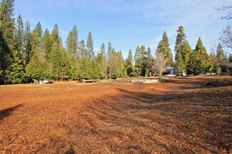 Plus de détails pour 1100 Highway 4, Arnold, CA - Terrain à vendre