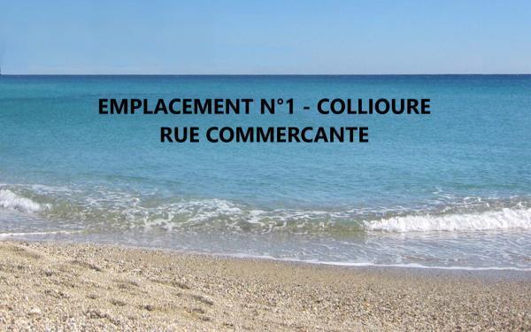 Local commercial dans Collioure à louer - Photo de l’immeuble – Image 1 sur 1
