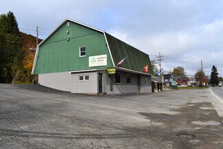 Plus de détails pour 117 Main St, Hallstead, PA - Local commercial à vendre