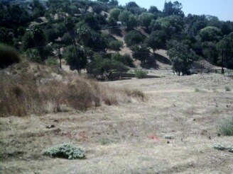 20717 Covina Hills Rd, Covina, CA à vendre - Photo principale – Image 1 sur 3