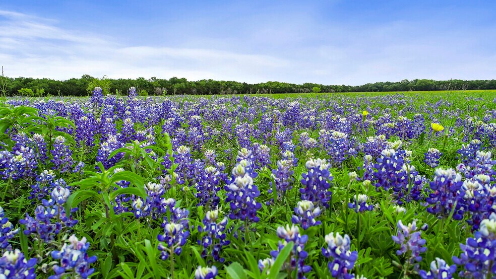 1049 County Road 201, Liberty Hill, TX à vendre - Photo principale – Image 1 sur 17