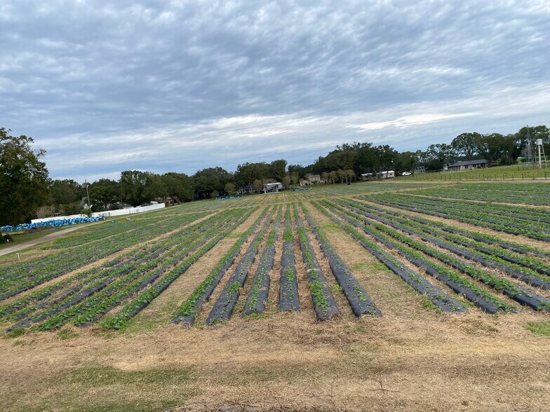 WO Farms portefeuille de 2 biens à vendre sur LoopNet.fr - Photo de l’immeuble – Image 3 sur 4