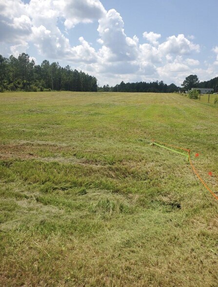 30225 Osprey Ln, Robertsdale, AL à vendre - Photo de l’immeuble – Image 1 sur 4