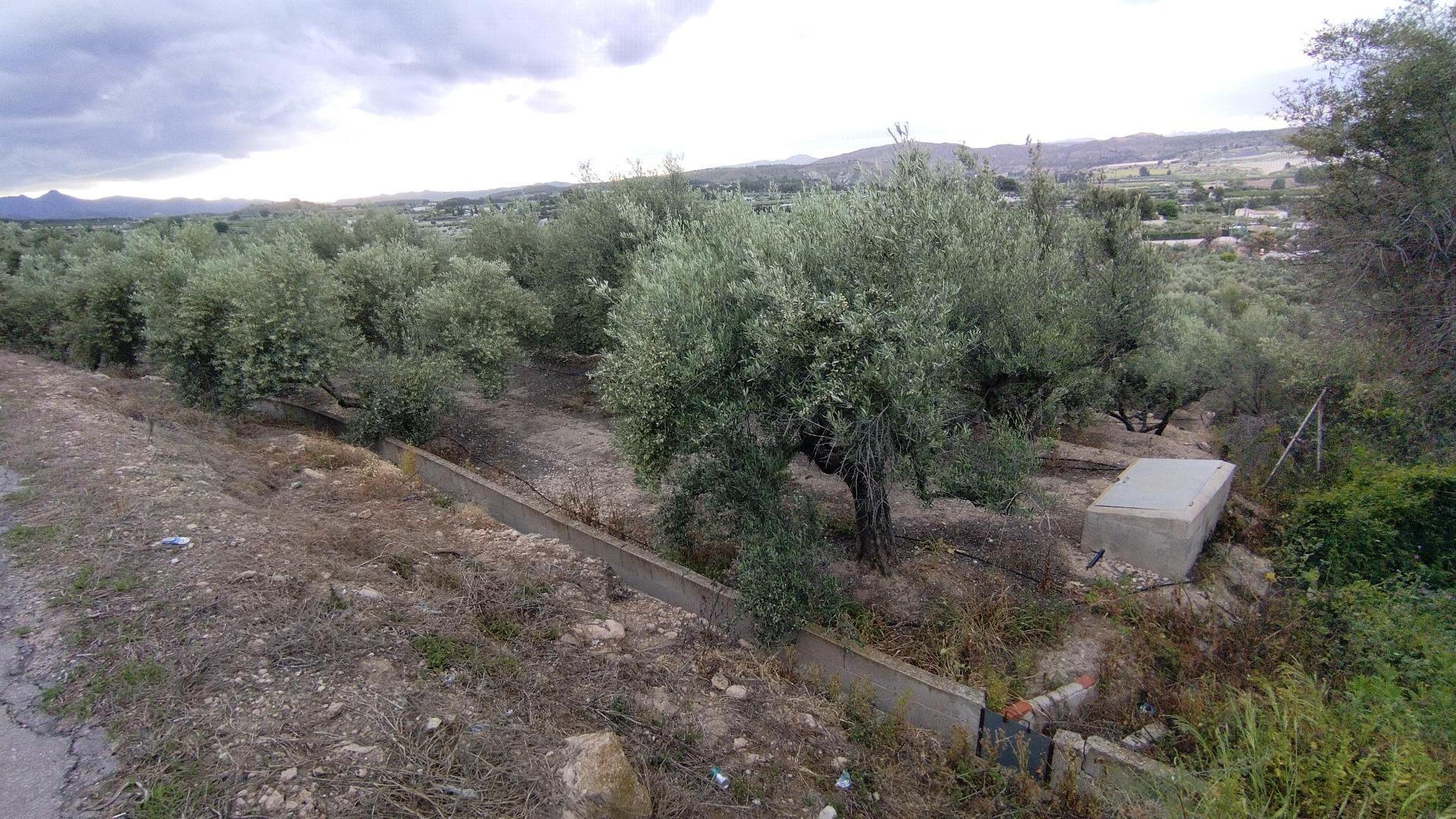 Terrain dans Calasparra, Murcia à vendre Photo de l’immeuble– Image 1 sur 10