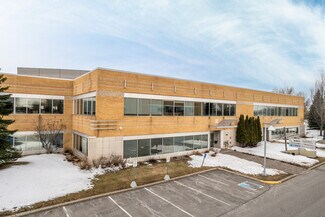Plus de détails pour 7200 Rue Frédérick-Banting, Saint-Laurent, QC - Bureau à vendre