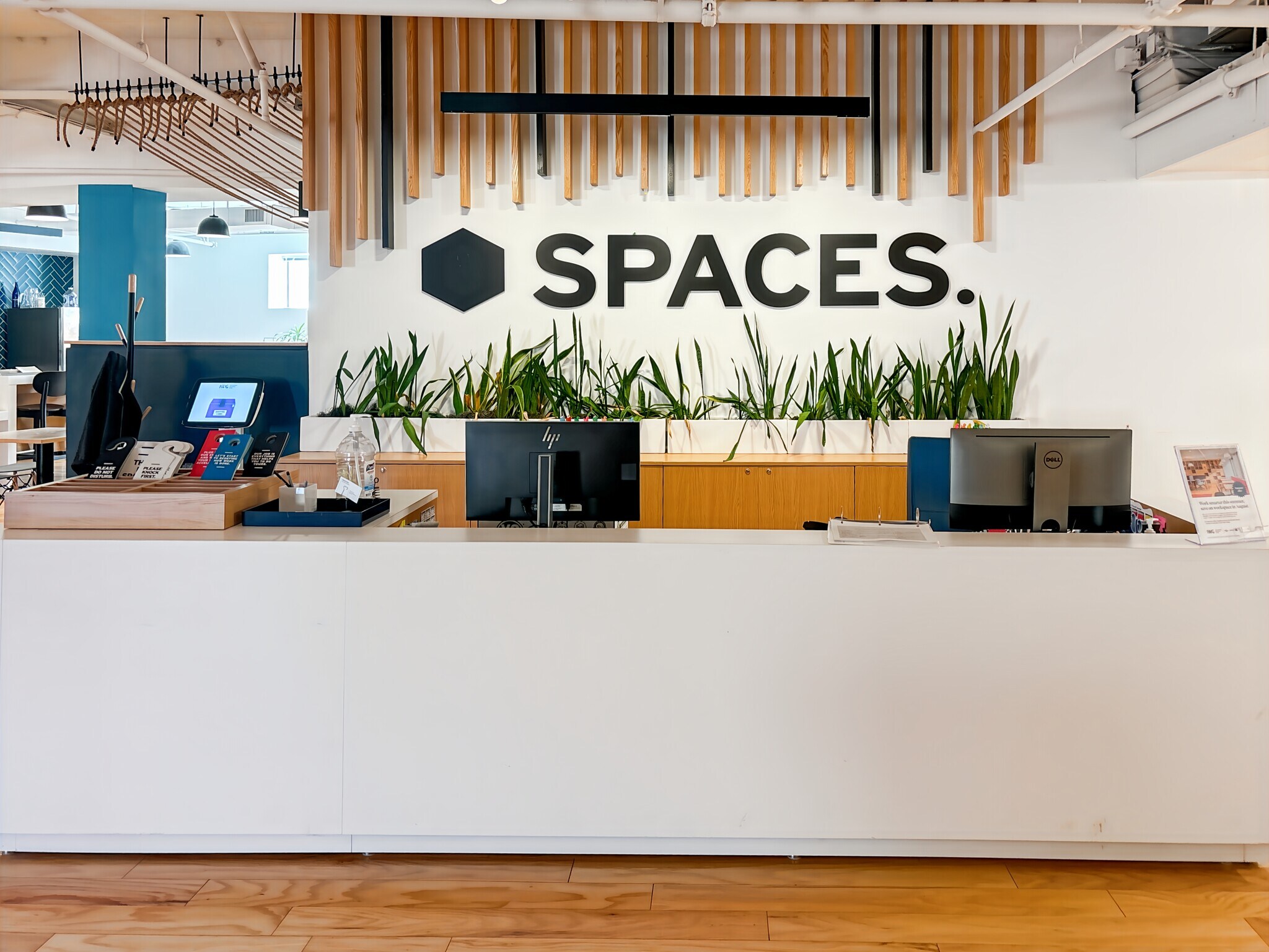 240-244 Elm St, Somerville, MA à louer Photo intérieure– Image 1 sur 12