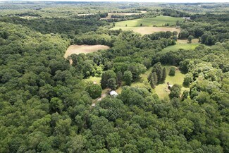 Plus de détails pour 11811 Gaston Rd, Negley, OH - Terrain à vendre