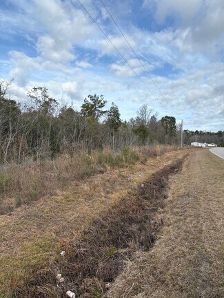 Plus de détails pour 476 Dothan Rd, Tabor City, NC - Terrain à vendre