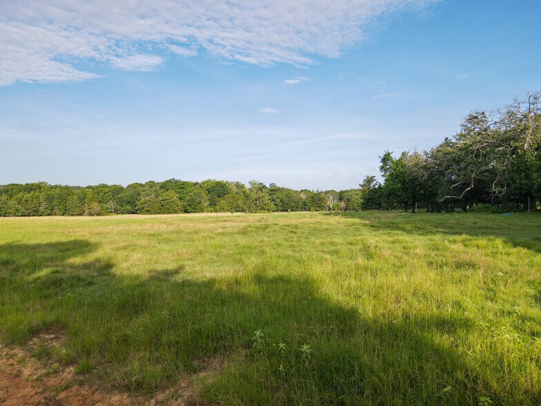 Intersection of FM 2029 and FM 409, Telephone, TX à vendre - Aérien – Image 2 sur 38