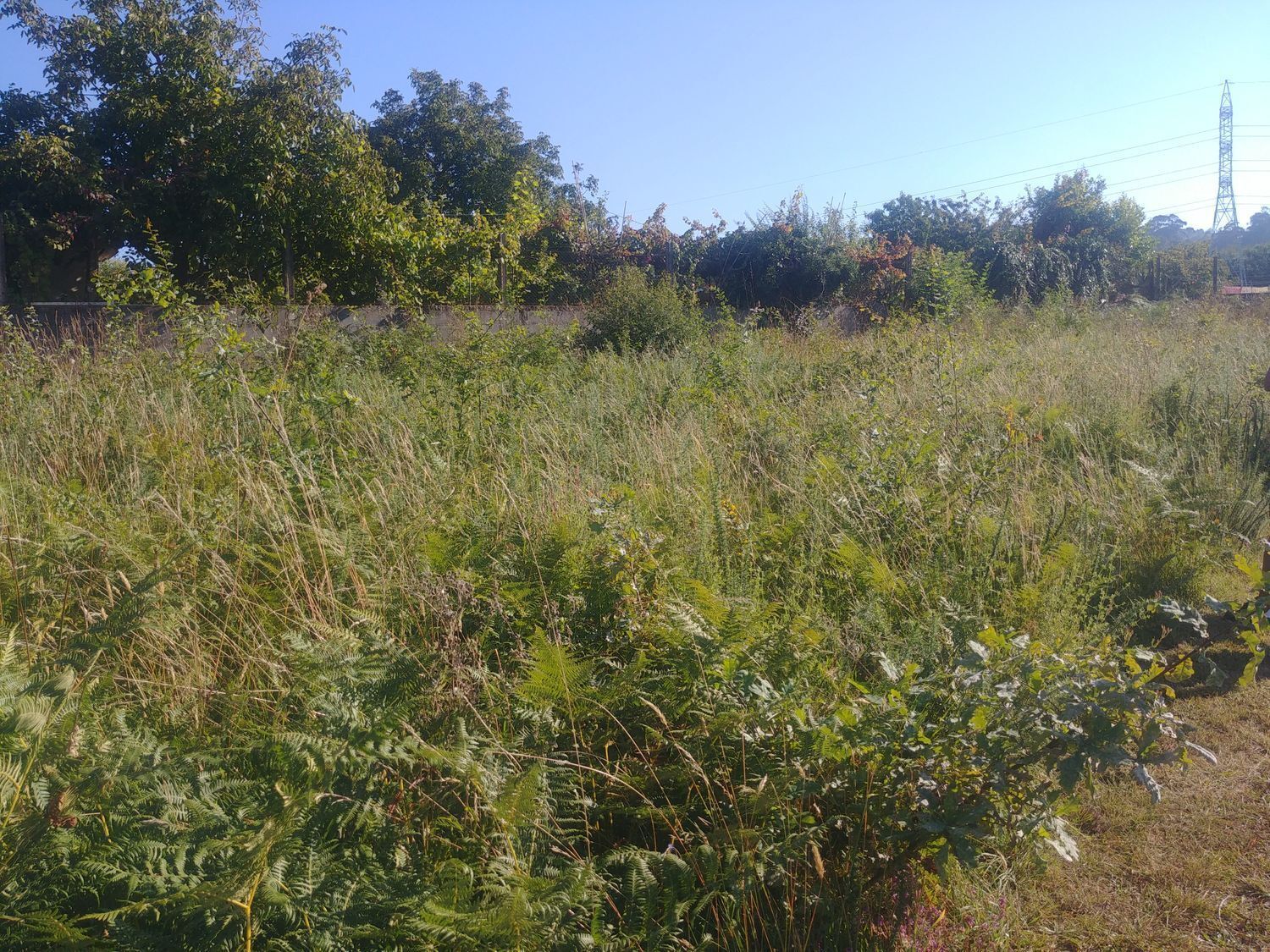 Terrain dans Vigo, Pontevedra à vendre Plan de site– Image 1 sur 4