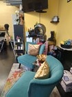 Interior Shot