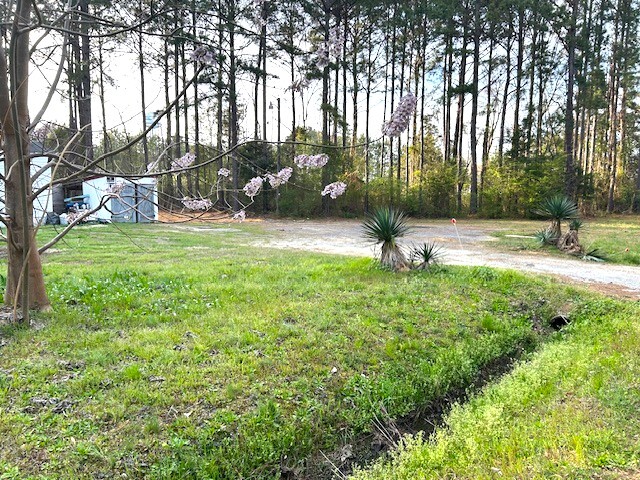 470 E Boundary St, Chapin, SC à vendre - Photo de l’immeuble – Image 3 sur 3