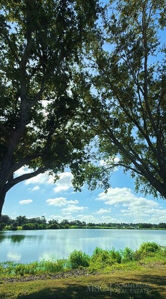 View Photo