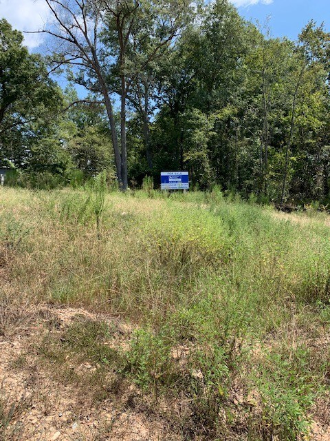 2681 Hiram Douglasville Hwy, Hiram, GA à vendre - Photo principale – Image 2 sur 4