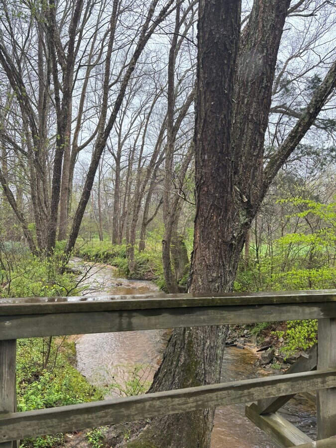 View Photo