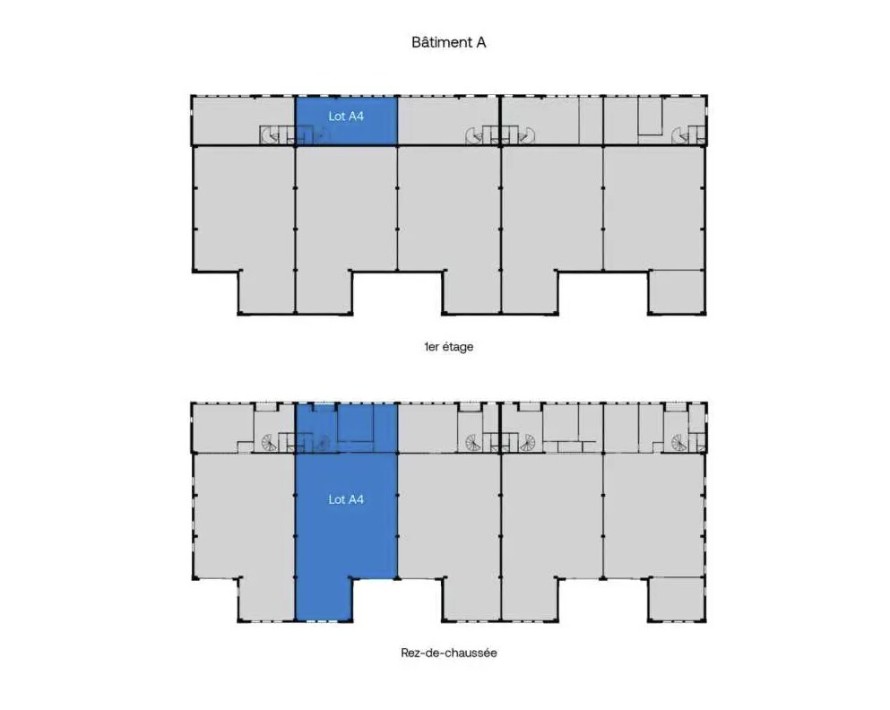 Local d’activités dans Lognes à louer Plan d’étage type– Image 1 sur 2