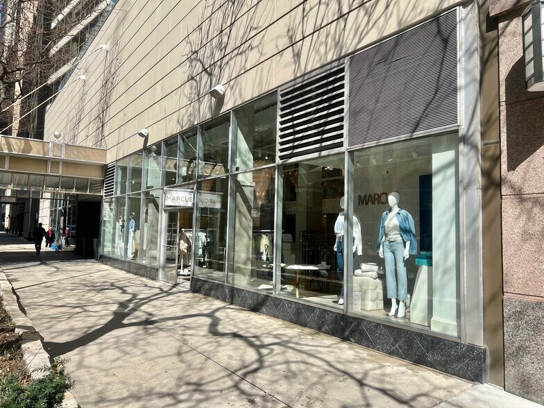 110 E Delaware Pl, Chicago, IL à louer - Photo de l’immeuble – Image 3 sur 8