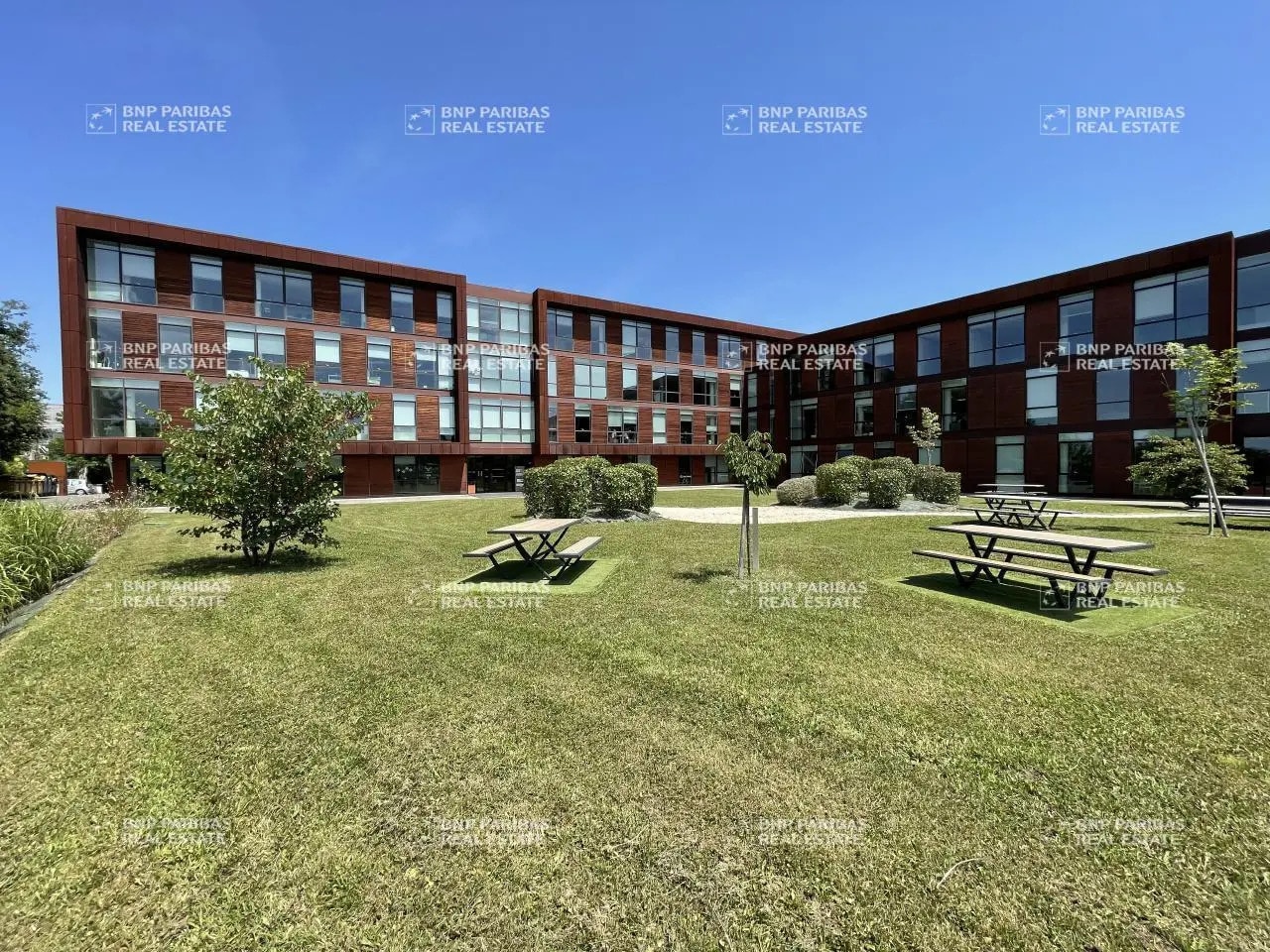 8 Rue De Vidailhan, Balma à louer Photo de l’immeuble– Image 1 sur 11