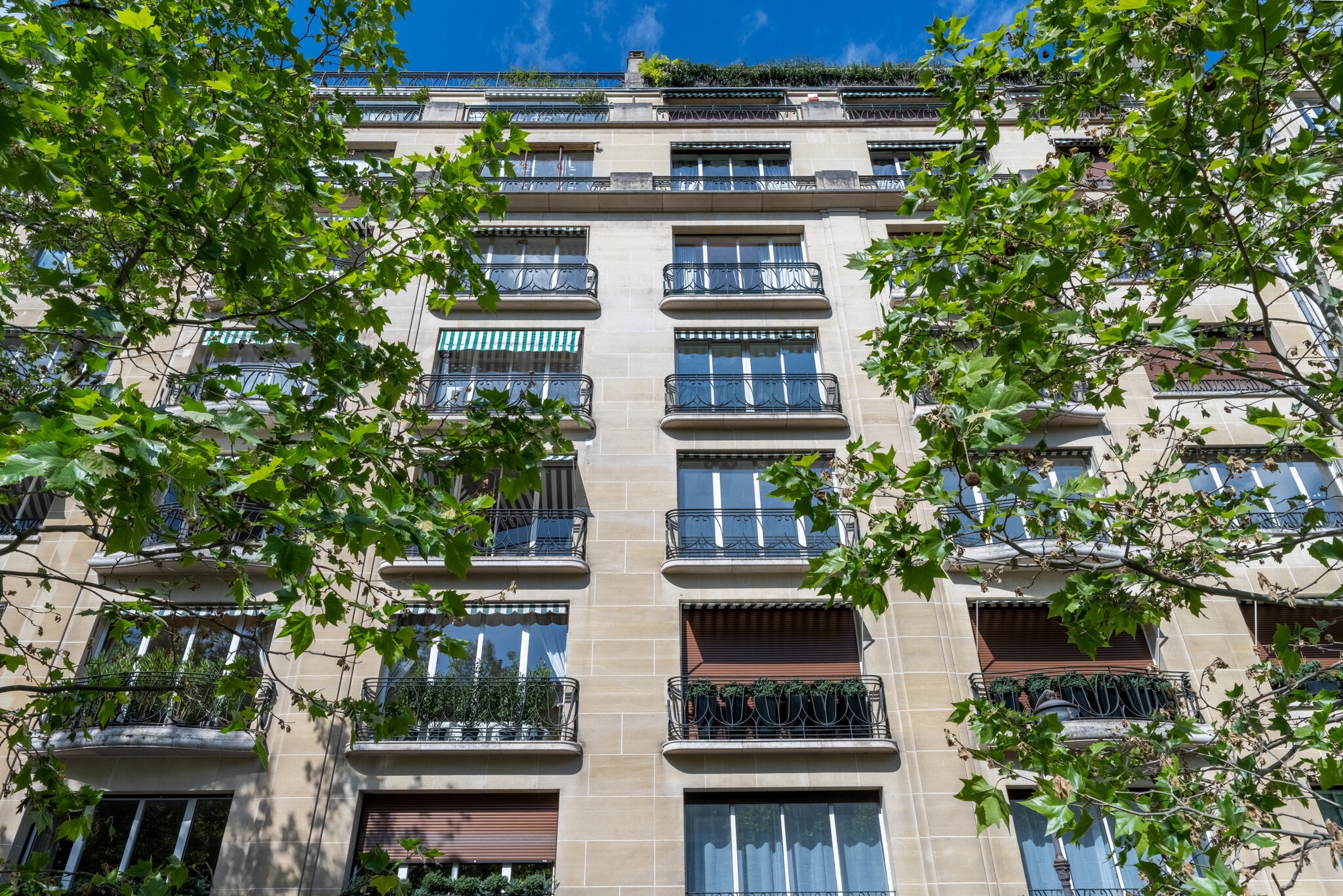 15 Boulevard Flandrin, Paris à louer Photo intérieure– Image 1 sur 18