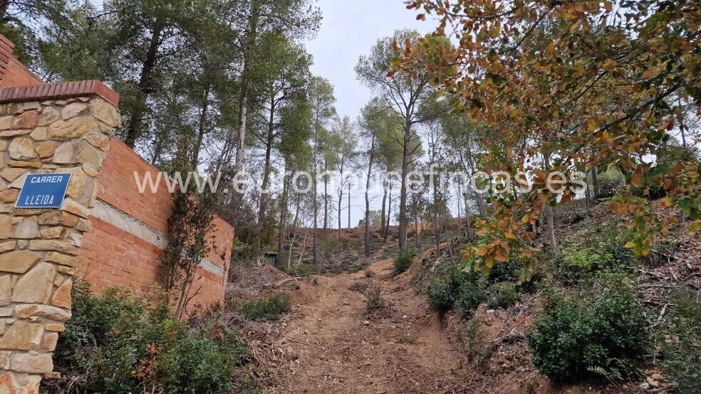 Urbanizacion Can Ros Zona 3, 190BI, Cabrera d'Anoia, Barcelona à vendre - Autre – Image 2 sur 4