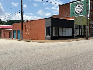 Plus de détails pour 224 Braddock Ave, Braddock, PA - Industriel/Logistique à louer