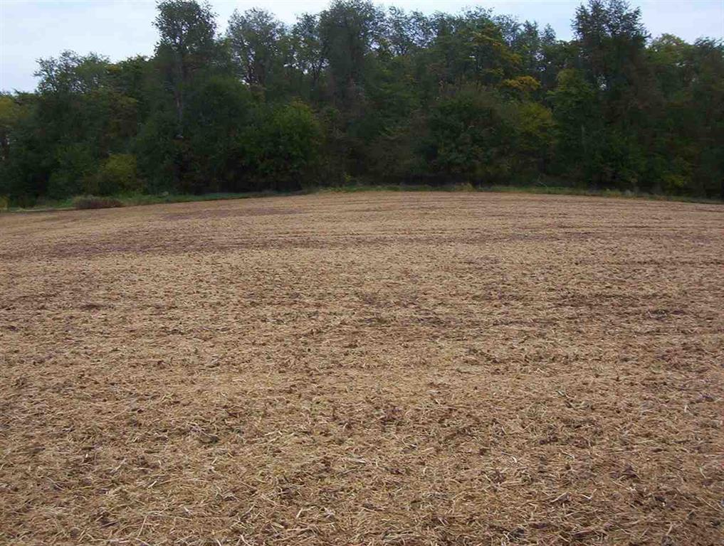 210th Street Northeast, Solon, IA à vendre Autre– Image 1 sur 9