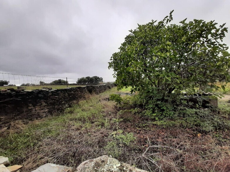 Terrain dans Cáceres, Cáceres à vendre - Photo principale – Image 3 sur 13
