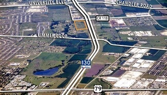 Plus de détails pour SWC SH 130 & CR 118, Hutto, TX - Terrain à vendre