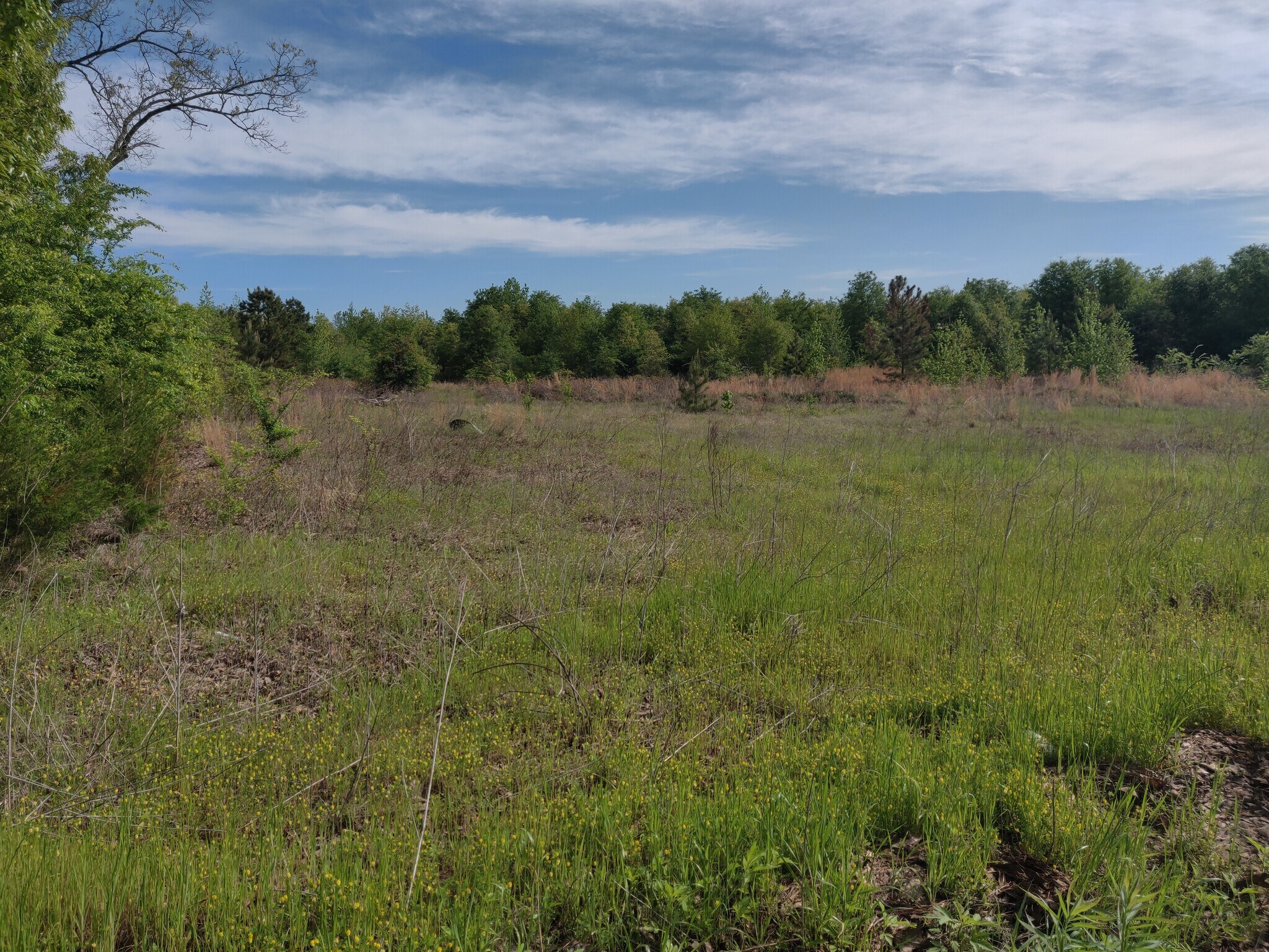 2250 Brandon Dr, Tyler, TX à vendre Photo principale– Image 1 sur 6