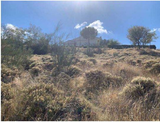 Calle de Salamanca, 336, El Casar, Guadalajara à vendre Photo principale– Image 1 sur 2