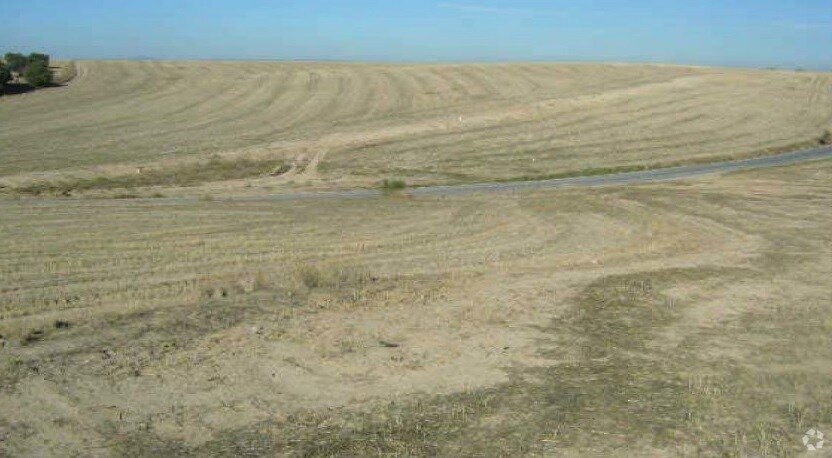 Terrain dans Moraleja de Enmedio, Madrid à vendre - Photo de l’immeuble – Image 3 sur 9