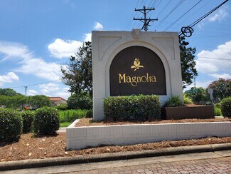 Plus de détails pour 8231 Magnolia Estates Dr, Cornelius, NC - Terrain à vendre