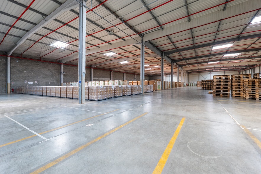 266 Impasse Des Vignes, Bressolles à louer - Photo de l’immeuble – Image 3 sur 11