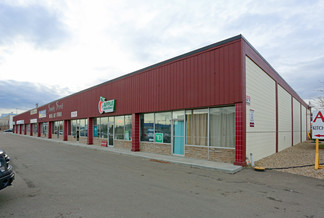 Plus de détails pour 10628-10640 169 St NW, Edmonton, AB - Industriel/Logistique à louer