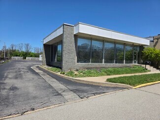 Plus de détails pour 750 Trumbull Dr, Pittsburgh, PA - Industriel/Logistique à louer